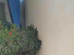 -小红鲸·海鲜餐厅(轸大路店)