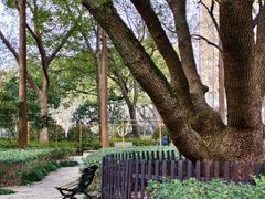 -徐家汇源景区-衡山公园