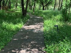 -棋盘山风景区