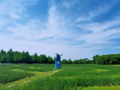 -东平国家森林公园