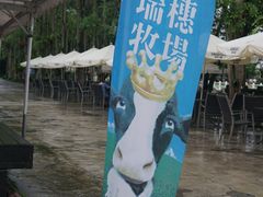 -瑞穗牧场