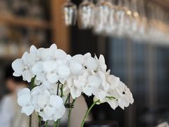 -茹·pure vegan(博华广场店)