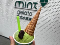 -Mint Gelato(二厂店)