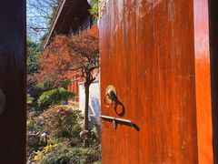 -宝界山林公园