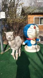 -萌宠亲子动物乐园(槐房万达店)