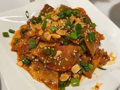 夫妻肺片-沸腾鱼家(大尧三路店)