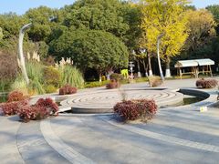 -昆山城市生态森林公园