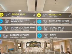 -谢列梅捷沃国际机场