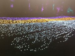 -秀丽东方