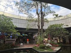 -厦门高崎国际机场-T3航站楼