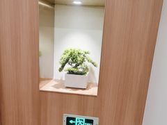 -大鹏饭店·金陵家宴(奥体中心店)