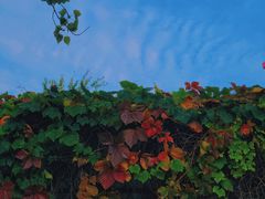 -斯多格书乡(北京大学畅春园店)