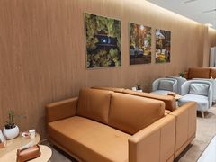 -XPEL旗舰店·汽车贴膜·隐形车衣·改色贴膜