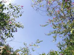 -西南民族大学南区(双流校区)