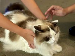 -白兔子密室(长寿路店)