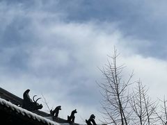 -原山国家森林公园