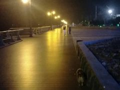 -东港音乐喷泉广场