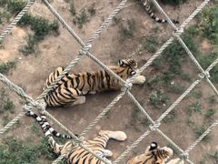 -西霞口神雕山野生动物世界