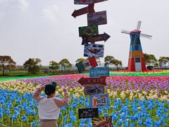 -上海都市菜园