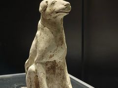 -隋唐大运河文化博物馆