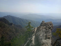 -王顺山国家森林公园