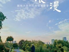-沙湖公园