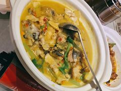 -饭怕鱼(阳光100店)