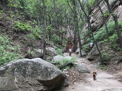 -大岭沟猕猴桃谷风景区