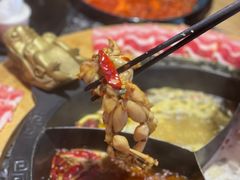 -蜀大侠火锅(森兰花园城店)