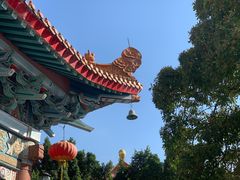 -广东圆玄道观