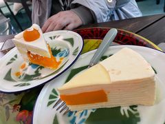 -聚福SHANGHAILANDER(乌鲁木齐南路店)