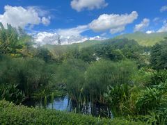 -腾冲洞山温泉村