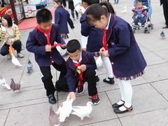 -陕西自然博物馆