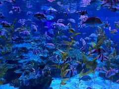 -海合安成都极地海洋公园