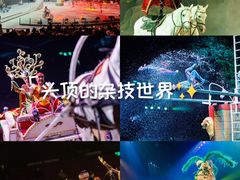 -广州长隆国际大马戏