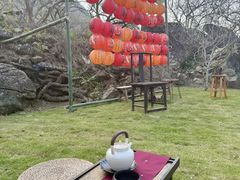 -广州市流溪河国家森林公园