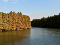 -上海海湾国家森林公园