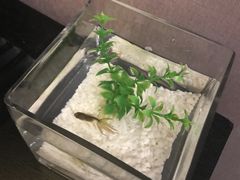 -扬州东关街文昌阁桔子水晶酒店
