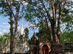 -西双版纳傣族园