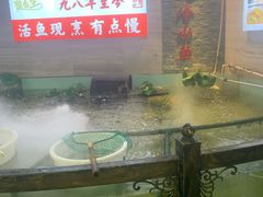 -楚鱼王·河鲜·湖北菜(华农店)