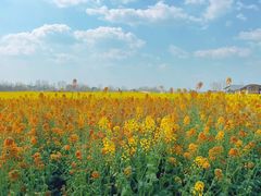 -中国天府农业博览园