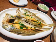 清蒸黄花鱼-吕氏疙瘩汤·新鲁菜(济南万象城店)
