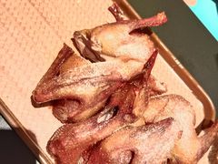 -羽鸽集·乳鸽专门店·地道顺德菜(岭南站店)