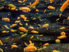 -多彩贵州城极地海洋世界