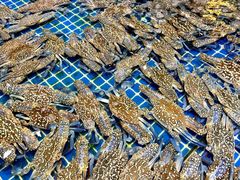 -三亚火车头万人海鲜广场