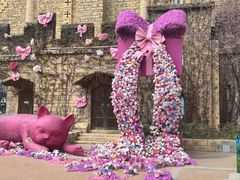 -青岛方特梦幻王国