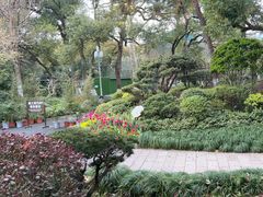 -浙江西子宾馆·瑶园咖啡厅