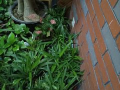 -湘当爱·鲜煮现炒(松岗立业路店)