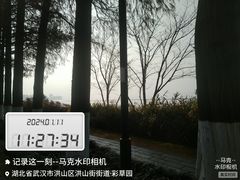 -东湖生态旅游风景区