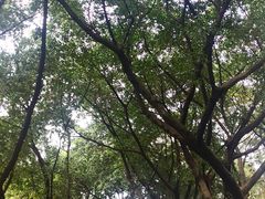 -广州雕塑公园